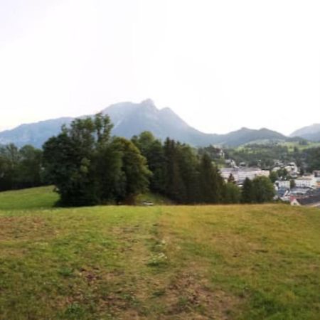 Appartement Mit Doppelbett Oder 2 Einzelbetten Bad Aussee Bagian luar foto