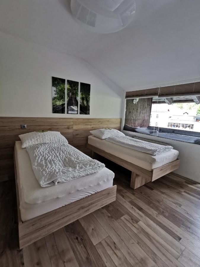 Appartement Mit Doppelbett Oder 2 Einzelbetten Bad Aussee Bagian luar foto