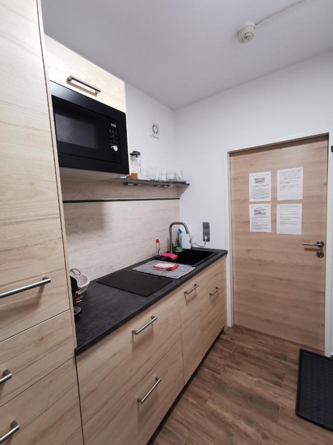 Appartement Mit Doppelbett Oder 2 Einzelbetten Bad Aussee Bagian luar foto