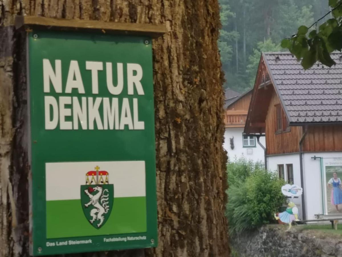 Appartement Mit Doppelbett Oder 2 Einzelbetten Bad Aussee Bagian luar foto